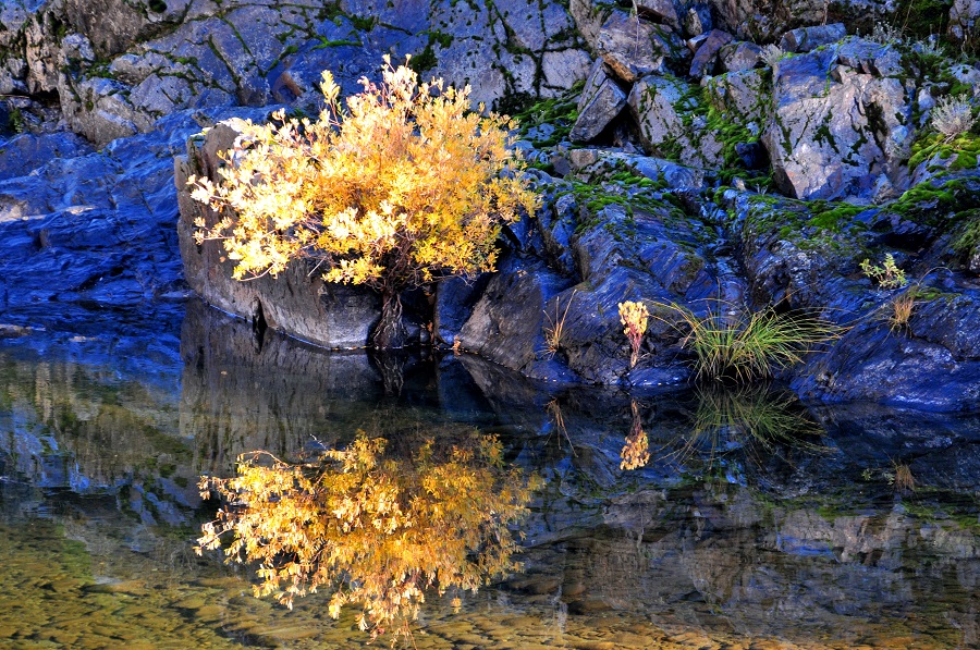 Reflections on Water